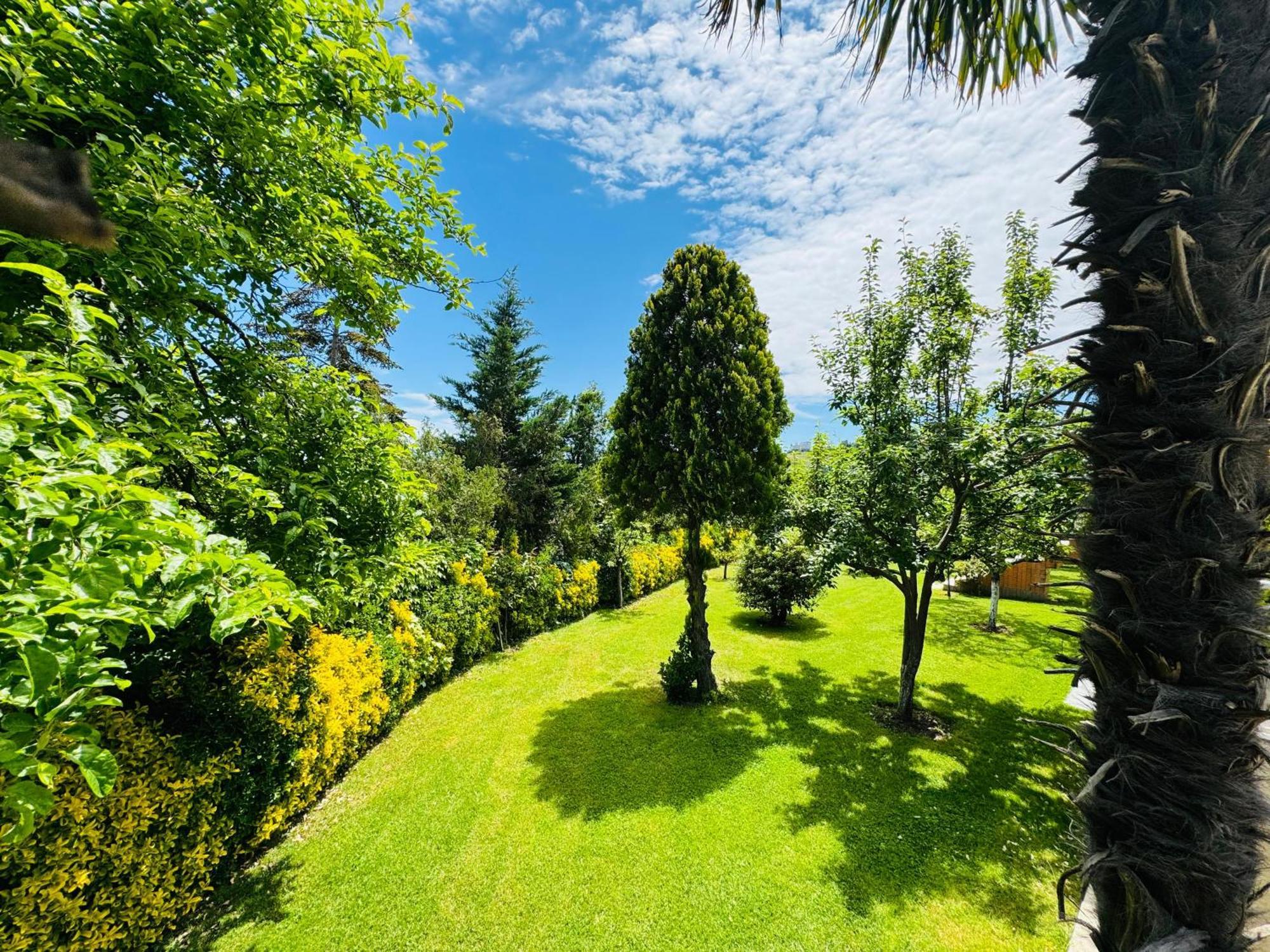 Treekos Suite Hotel Istanbul Airport Arnavutkoy Exteriör bild