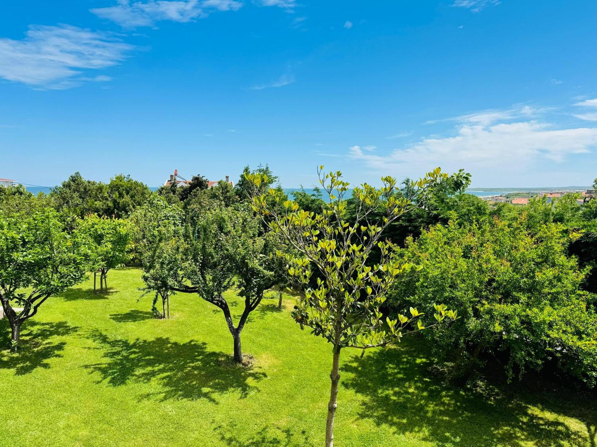 Treekos Suite Hotel Istanbul Airport Arnavutkoy Exteriör bild